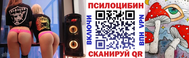 Псилоцибиновые грибы Psilocybe Биробиджан